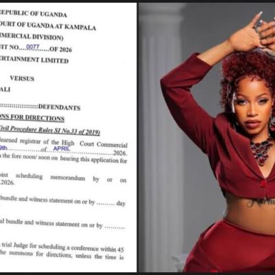 TNS Sheebah copyright dispute