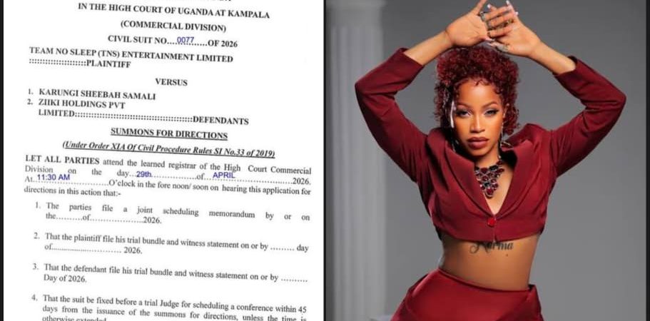 TNS Sheebah copyright dispute