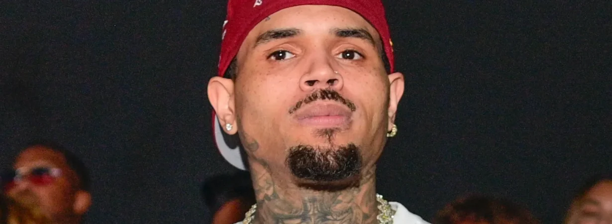 Chris Brown custody case