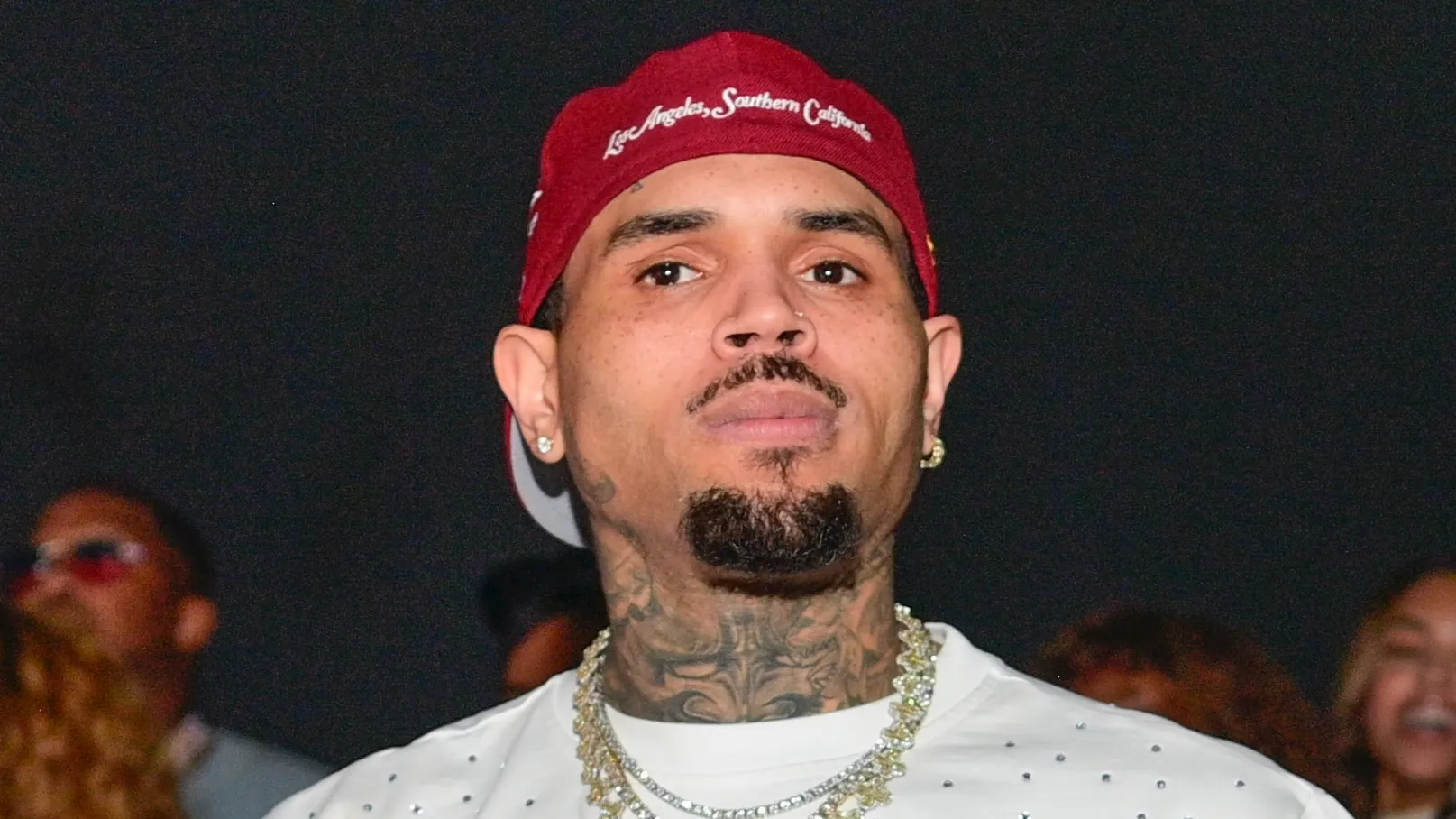 Chris Brown custody case